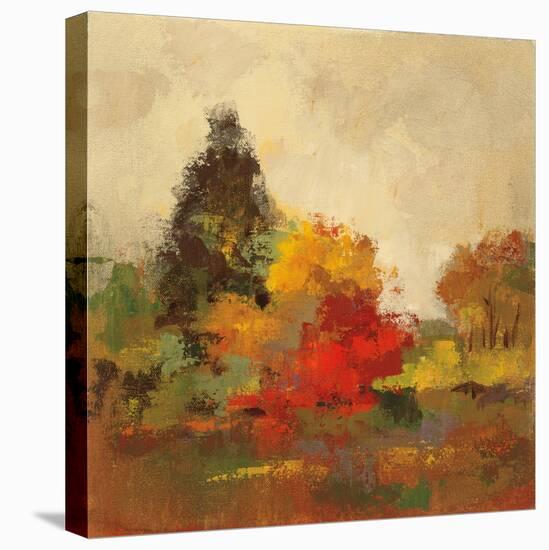 Fall Forest I-Silvia Vassileva-Stretched Canvas