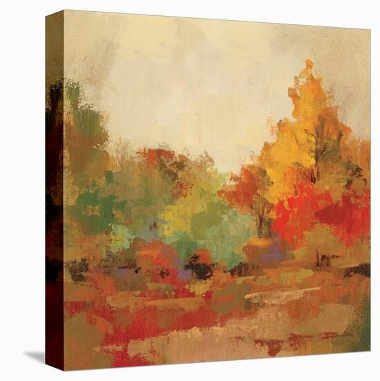 Fall Forest II-Silvia Vassileva-Stretched Canvas