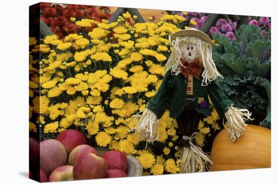 Fall Garden Display, Marion County, Illinois-Richard and Susan Day-Premier Image Canvas