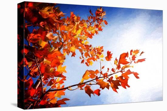 Fall Gifts-Philippe Sainte-Laudy-Premier Image Canvas