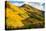 Fall Hills of Colorado-duallogic-Premier Image Canvas