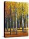 Fall in Glory I-Tim O'toole-Stretched Canvas