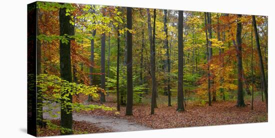 Fall in McCormics Creek State Park, Indiana, USA-Anna Miller-Premier Image Canvas
