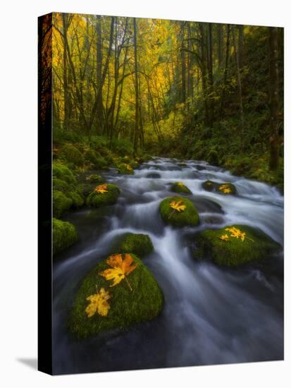 Fall in the Columbia River Gorge in Oregon-Miles Morgan-Premier Image Canvas