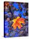 Fall leaves on black rocks in water-null-Premier Image Canvas