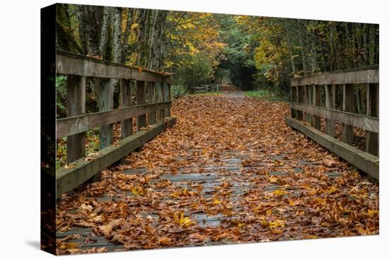 Fall on the Goose (Victoria)-Tim Oldford-Premier Image Canvas