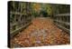 Fall on the Goose (Victoria)-Tim Oldford-Premier Image Canvas