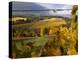 Fall Over the Knudsen and Bella Vida Vineyards, Willamette Valley, Oregon, USA-Janis Miglavs-Premier Image Canvas