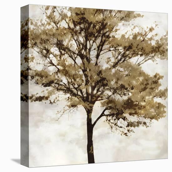Fall Reflect-Tania Bello-Stretched Canvas