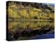 Fall Reflections in Pond, Telluride, Colorado, USA-Cindy Miller Hopkins-Premier Image Canvas