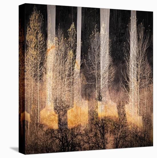 Fall Song-Ursula Abresch-Premier Image Canvas