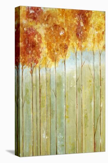 Fall Traditions-Jill Martin-Stretched Canvas