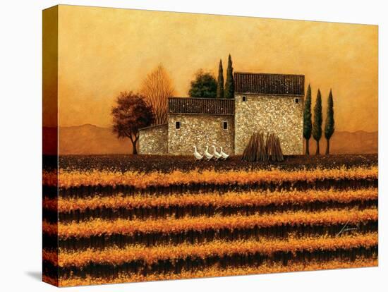 Fall Vineyard-Lowell Herrero-Stretched Canvas