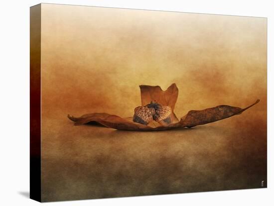 Fallen Together-Jai Johnson-Premier Image Canvas