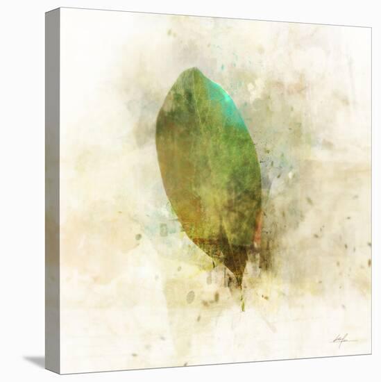 Falling Birch Leaf-Ken Roko-Stretched Canvas