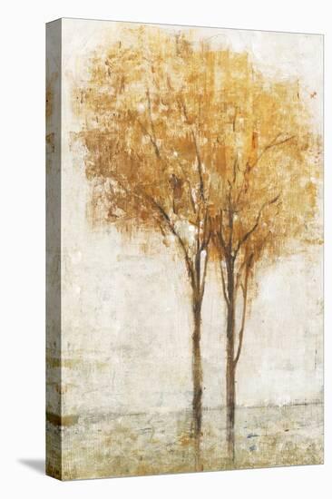 Falling Leaves II-Tim O'toole-Stretched Canvas