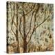 Falling Leaves-Jodi Maas-Premier Image Canvas