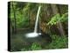 Falling Spring, Mark Twain National Forest, Missouri, USA-Charles Gurche-Premier Image Canvas