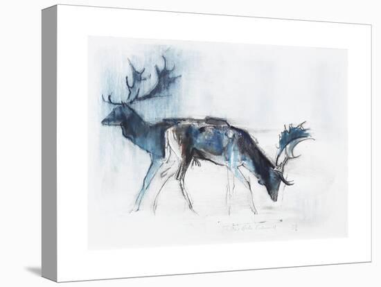 Fallow Bucks, Richmond, 2006-Mark Adlington-Premier Image Canvas