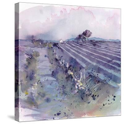 'Fallow Field' Stretched Canvas Print Ken Hurd