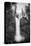 Falls Creek Falls in Black and White, Washington, Columbia River Gorge-Vincent James-Premier Image Canvas