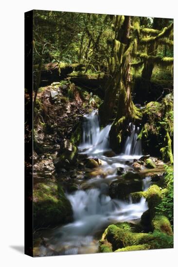 Falls in the Forest I-Brian Moore-Premier Image Canvas