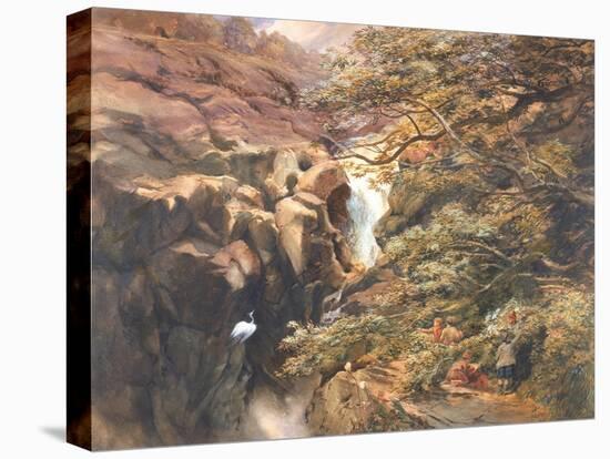 Falls of Bran-Charles Richardson-Premier Image Canvas