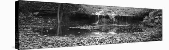 Falls Panorama-Stephen Gassman-Stretched Canvas