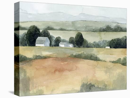 Family Farm I-Grace Popp-Stretched Canvas