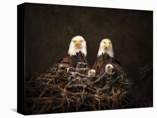 Family Is Forever Bald Eagles-Jai Johnson-Premier Image Canvas