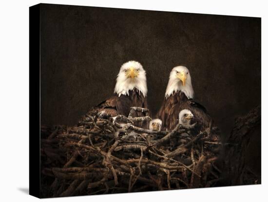 Family Is Forever Bald Eagles-Jai Johnson-Premier Image Canvas