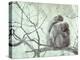 Family of Japanese Macaques Sitting in Tree in Shiga Mountains-Co Rentmeester-Premier Image Canvas