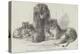 Family of Lions in the Gardens of the Clifton and Bristol Zoological Society-Harrison William Weir-Premier Image Canvas