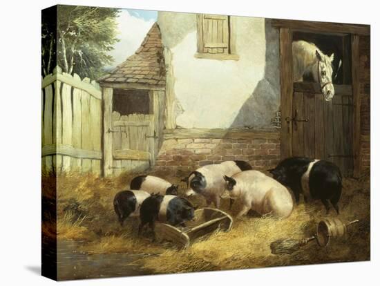 Family of Pigs-John Frederick Herring I-Premier Image Canvas
