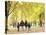 Family Walking in the Park-null-Premier Image Canvas