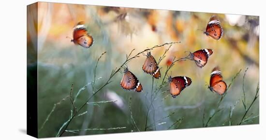 Family-Mustafa ozturk-Stretched Canvas