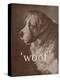 Famous Quote Dog-Florent Bodart-Premier Image Canvas