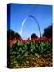 Famous St. Louis Arch, Archway Park, St. Louis, Missouri-Bill Bachmann-Premier Image Canvas