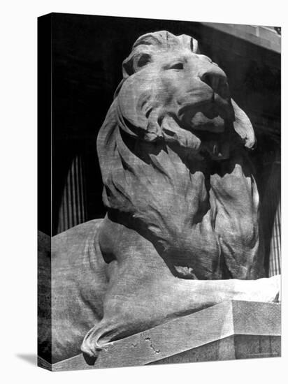 Famous Stone Lion at Front Entrance of the New York Public Library-Alfred Eisenstaedt-Premier Image Canvas