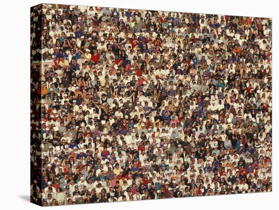 Fan at a Football Game-null-Premier Image Canvas