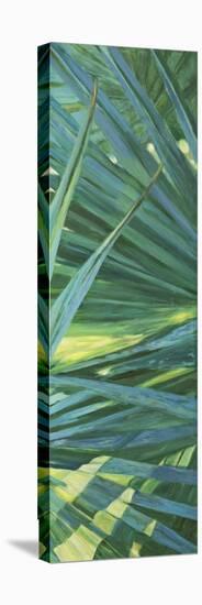 Fan Palm II-Suzanne Wilkins-Stretched Canvas