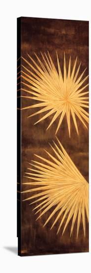 Fan Palm Triptych I-David Parks-Stretched Canvas