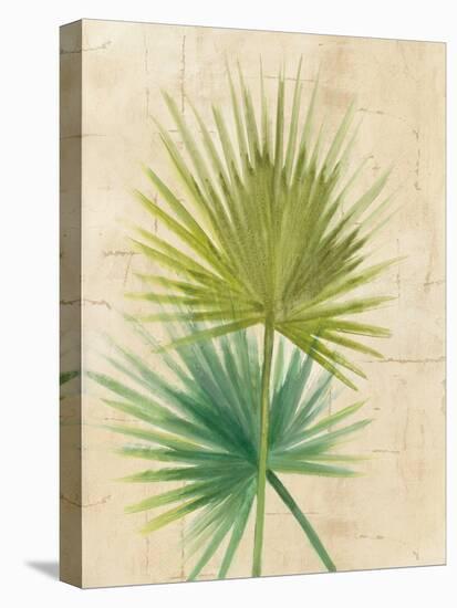 Fan Palm-Albena Hristova-Stretched Canvas