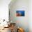 Fan Worm on Red Sponge-Reinhard Dirscherl-Premier Image Canvas displayed on a wall