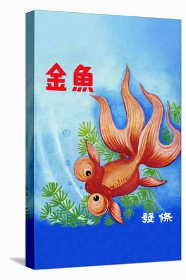 Fancy Bubble Eye Goldfish-null-Stretched Canvas