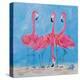 Fancy Flamingos II-Julie DeRice-Stretched Canvas