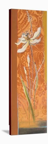 Fancy Floral II-Patricia Pinto-Stretched Canvas