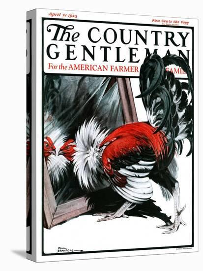 "Fancy Rooster in Mirror," Country Gentleman Cover, April 21, 1923-Paul Bransom-Premier Image Canvas