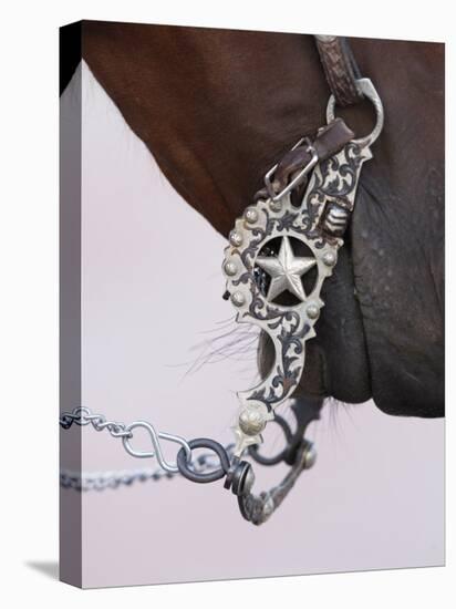 Fancy Silver Bit on Horse Bridle of Cowboy, Flitner Ranch, Shell, Wyoming, USA-Carol Walker-Premier Image Canvas