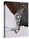 Fancy Silver Bit on Horse Bridle of Cowboy, Flitner Ranch, Shell, Wyoming, USA-Carol Walker-Premier Image Canvas